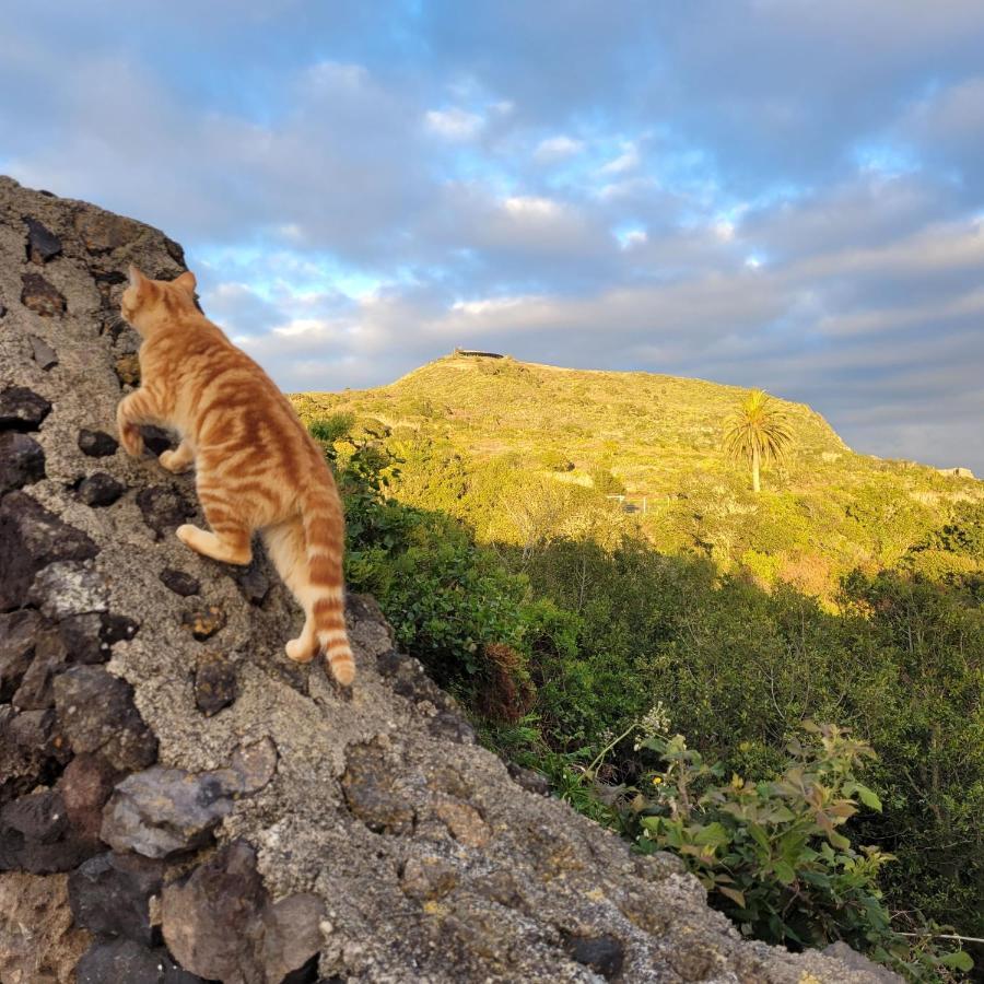 Finca El Lance El Tanque Esterno foto